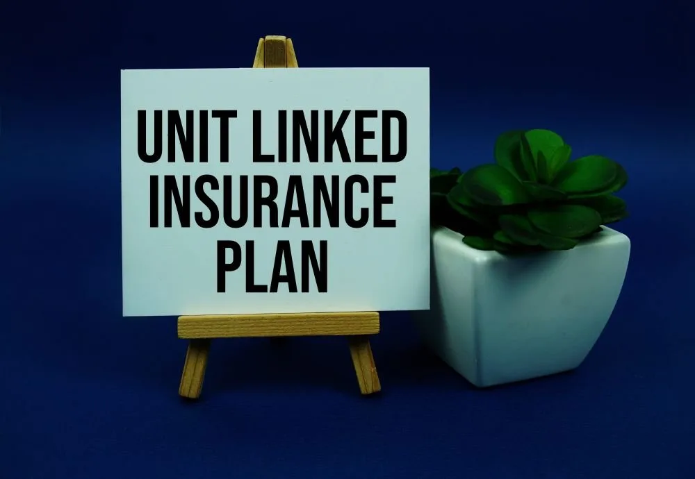 มีศัพท์การลงทุนอะไรที่ควรรู้บ้างก่อนซื้อประกัน Unit Linked ?
